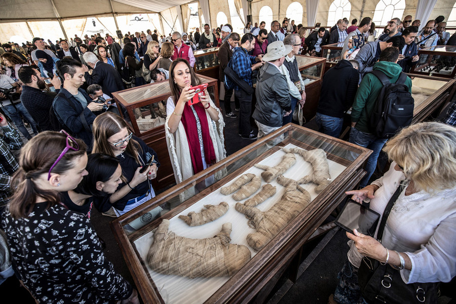 Các xác ướp sư tử con được trưng bày cho du khách chiêm ngưỡng - Ảnh: AFP