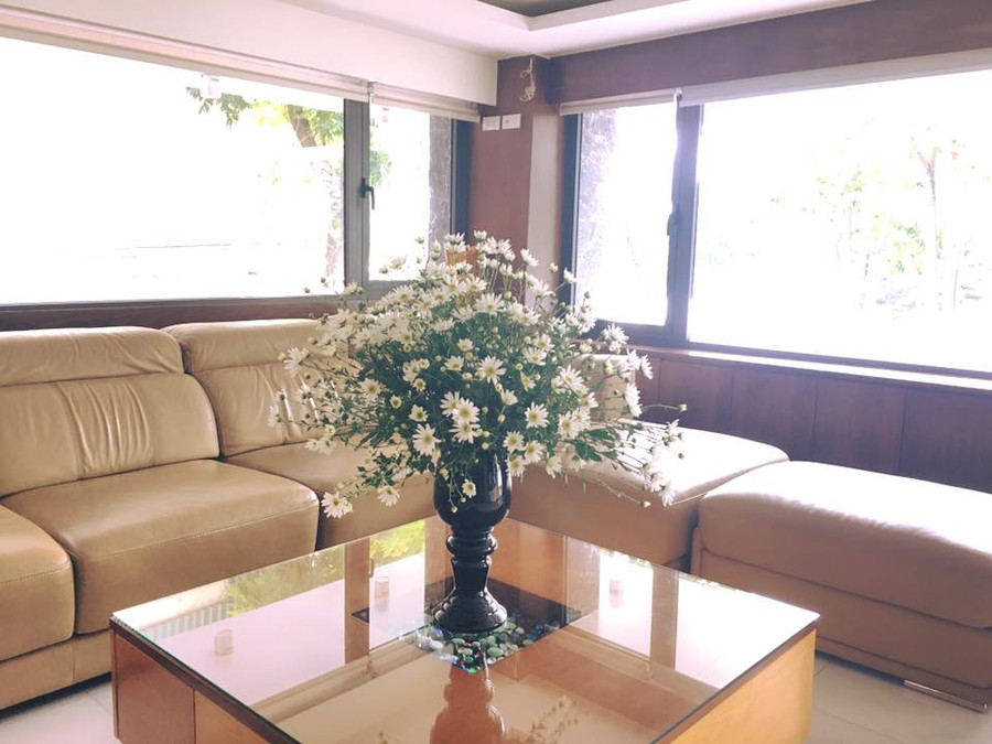 Đến hẹn lại lên, trời đã bắt đầu vào đông, gió se se lạnh, cúc họa mi đã vào mùa, trở thành loài hoa không thể thiếu trong từng ngôi nhà, từng góc nhỏ khiến căn nhà lúc nào cũng ngập tràn hương sắc, mang lại năng lượng tích cực cho mọi người. Đến hẹn lại lên, trời đã bắt đầu vào đông, gió se se lạnh, cúc họa mi đã vào mùa, trở thành loài hoa không thể thiếu trong từng ngôi nhà, từng góc nhỏ khiến căn nhà lúc nào cũng ngập tràn hương sắc, mang lại năng lượng tích cực cho mọi người.