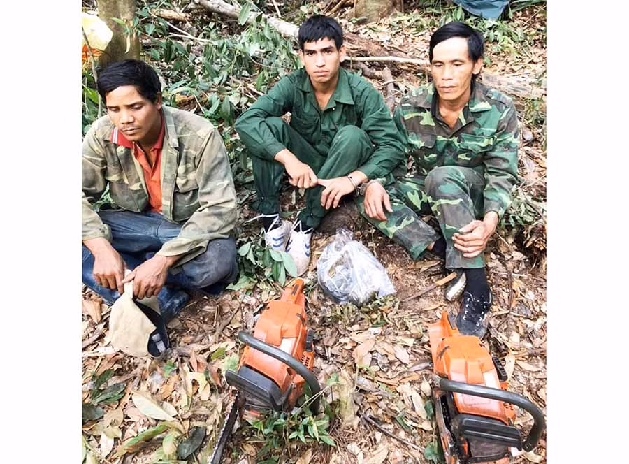  Các đối tượng bị bắt quả tang khai thác gỗ trái phép tại lâm phần của Ban Quản lý Rừng phòng hộ Đông Bắc Chư Pah. Ảnh: L.G