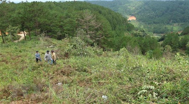  (Ảnh minh họa: Nguyễn Dũng/ TTXVN)