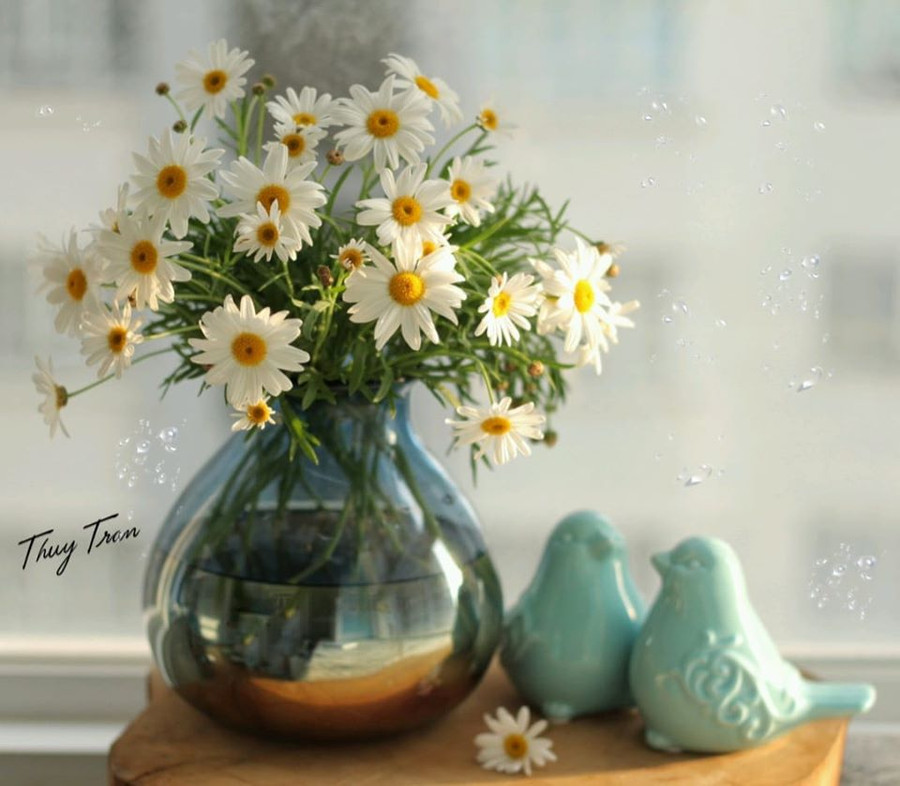 Chẳng cần cầu kỳ, bạn chỉ cần chuẩn bị một bình thủy tinh nhỏ và một bó hoa cúc họa mi là đã có ngay bình hoa cực xinh khiến căn phòng sáng bừng, đầy sức sống. Chẳng cần cầu kỳ, bạn chỉ cần chuẩn bị một bình thủy tinh nhỏ và một bó hoa cúc họa mi là đã có ngay bình hoa cực xinh khiến căn phòng sáng bừng, đầy sức sống.