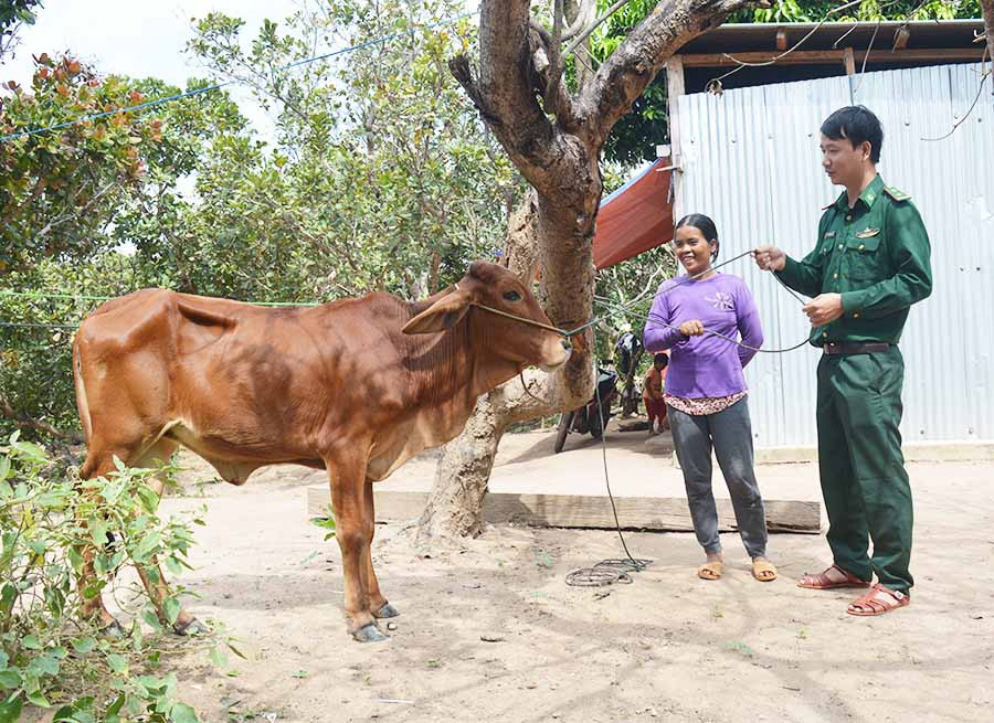  Trung úy Trần Văn Khen hướng dẫn gia đình chị Siu Pim cách chăn nuôi bò. Ảnh: A.H
