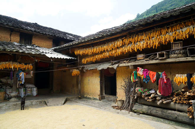 Sân nhà một gia đình ở Phố Là- Ảnh: Lưu Quang Sân nhà một gia đình ở Phố Là- Ảnh: Lưu Quang