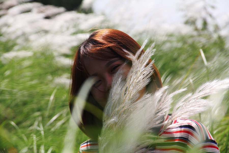  Cánh đồng lau đẹp mê mẩn khiến giới trẻ đổ xô tìm đến - Ảnh: Mạnh Cường