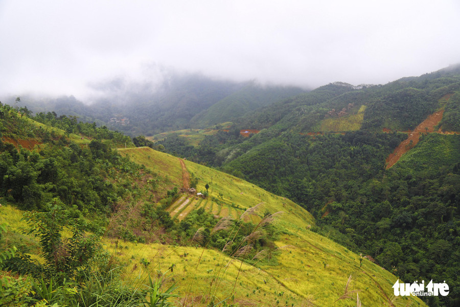  Từ trên những cung đường bao quanh các dãy núi nhìn xuống là những ô ruộng bậc thang, những đám mây bồng bềnh vắt mình' rên những ngọn đồi xanh ngắt - Ảnh: DANH TRỌNG
