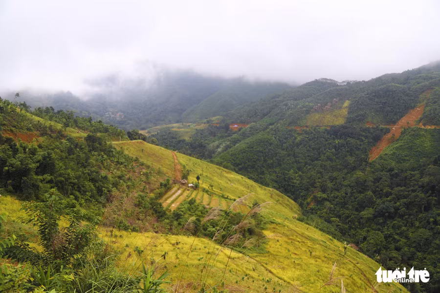  Từ trên những cung đường bao quanh các dãy núi nhìn xuống là những ô ruộng bậc thang, những đám mây bồng bềnh vắt mình' rên những ngọn đồi xanh ngắt - Ảnh: DANH TRỌNG