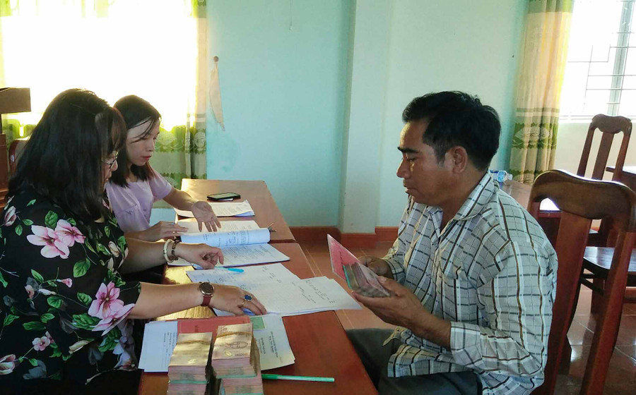 10 hộ dân được Hội Nông dân tỉnh hỗ trợ vốn vay phát triển chăn nuôi bò sinh sản. Ảnh: Quang Tấn