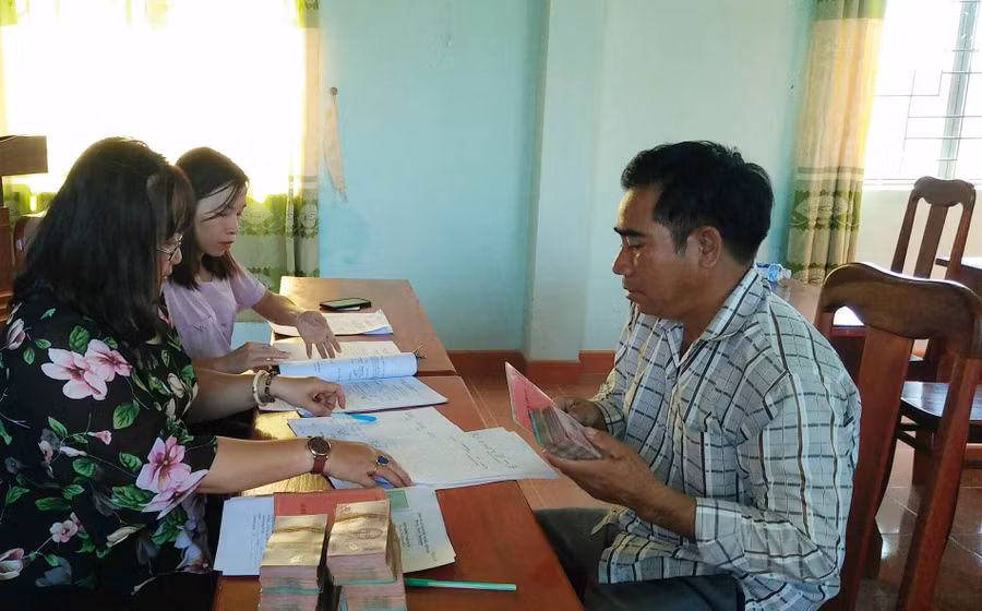 10 hộ dân được Hội Nông dân tỉnh hỗ trợ vốn vay phát triển chăn nuôi bò sinh sản. Ảnh: Quang Tấn