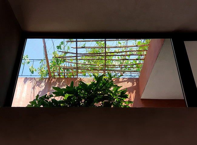 Khu vườn đa năng trên mái vừa cung cấp rau sạch cho gia đình vừa như một lớp chống nóng, giúp không gian sống bên dưới luôn thoáng mát, ưu việt hơn hẳn các loại mái ngói, bê tông hay mái tôn. Khu vườn đa năng trên mái vừa cung cấp rau sạch cho gia đình vừa như một lớp chống nóng, giúp không gian sống bên dưới luôn thoáng mát, ưu việt hơn hẳn các loại mái ngói, bê tông hay mái tôn.