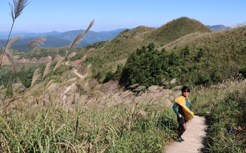 Lau nở trên đường lên mốc 1297