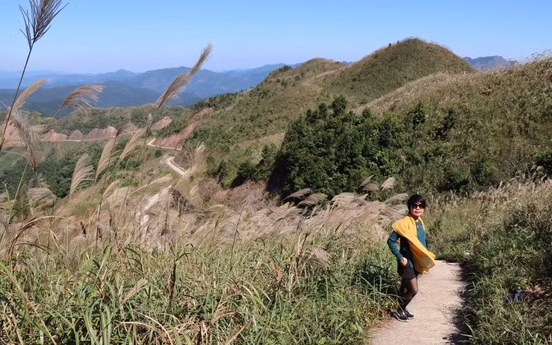 Lau nở trên đường lên mốc 1297