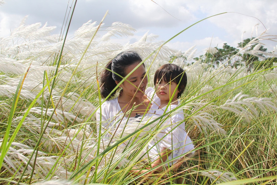 Không chỉ người lớn, trẻ em cũng theo mẹ để được tận hưởng vẻ đẹp của cánh đồng cỏ lau khi vào thu- Ảnh: Mạnh Cường