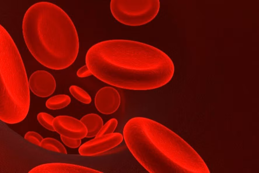  Nguồn: Cancerhorizons