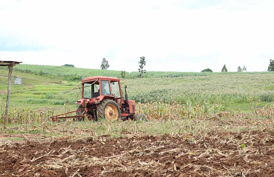  Người dân cày đất chuẩn bị sản xuất vụ Đông Xuân 2019-2020. Ảnh: L.N