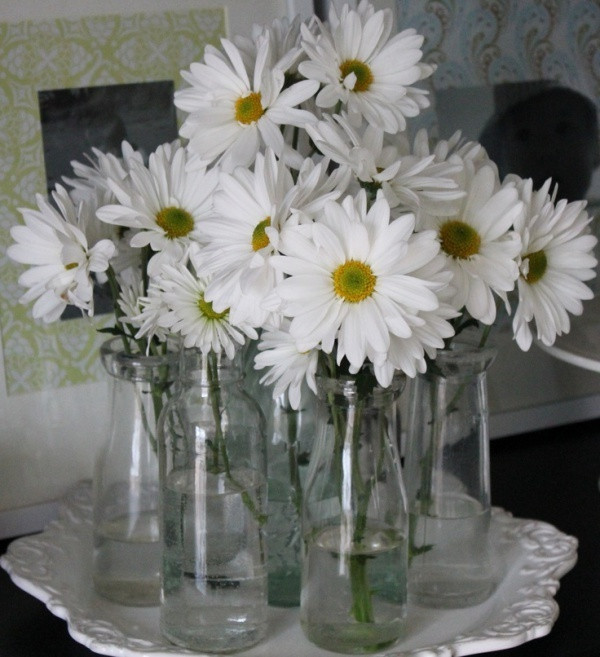 Chỉ cần một chút nước, chiếc cốc nhỏ là đủ cắm đôi ba cành họa mi giúp điểm tô cho gian bếp nhà bạn thêm ấm cúng trong những ngày đông. Chỉ cần một chút nước, chiếc cốc nhỏ là đủ cắm đôi ba cành họa mi giúp điểm tô cho gian bếp nhà bạn thêm ấm cúng trong những ngày đông.