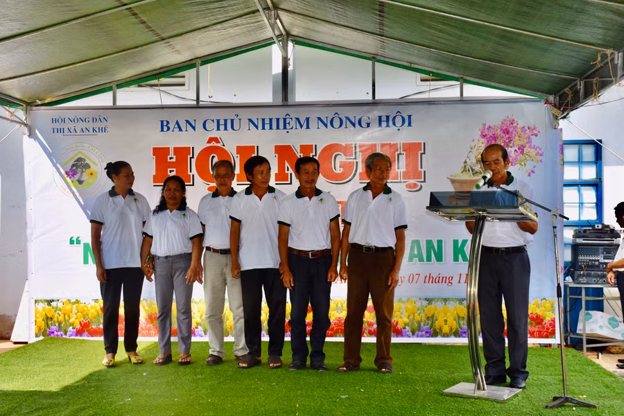 Thành viên Ban chủ nhiệm Nông hội hoa, cây cảnh An Khê ra mắt. Ảnh: Trần Dung