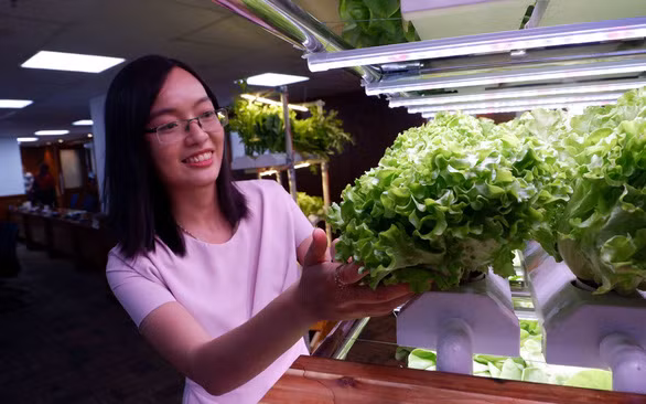 Lê Thị Kim Cương giới thiệu về kệ rau thông minh trong nhà - Ảnh: K.ANH