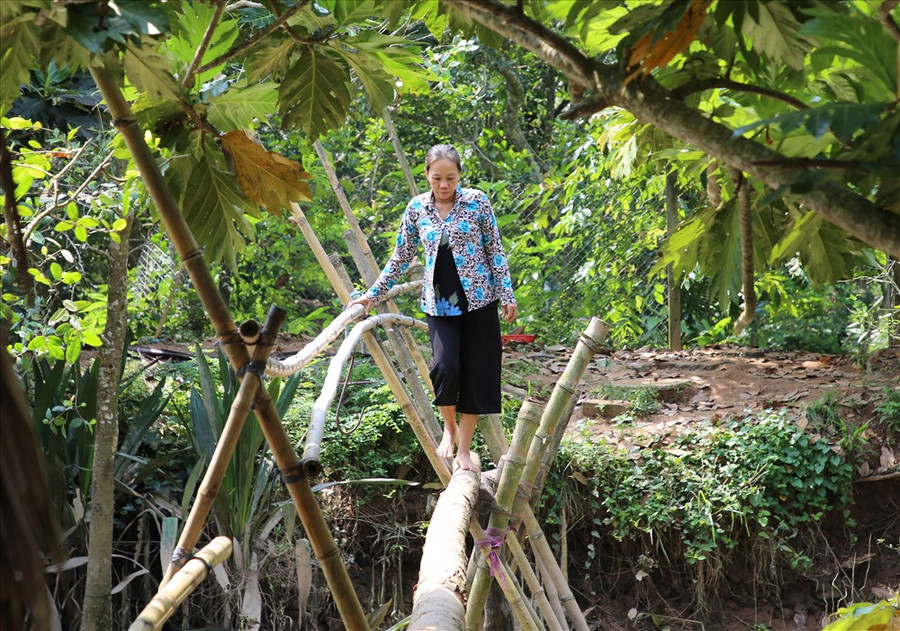  Một chiếc cầu khỉ bắc qua con kênh ở Cồn Sơn. Ảnh: H.Thơ.