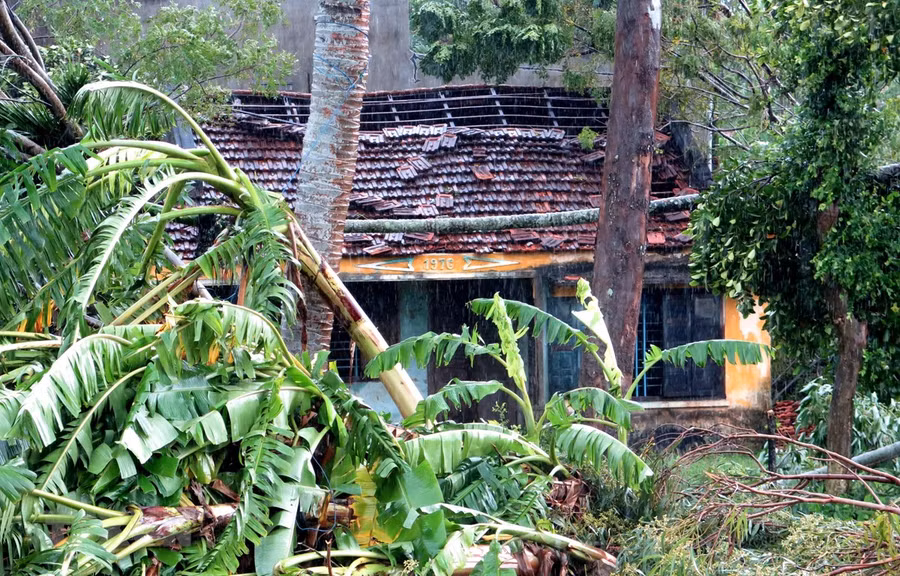  Nhiều nhà dân bị tốc mái, cây cối ngã đổ. (Ảnh minh họa: Phước Ngọc/TTXVN)