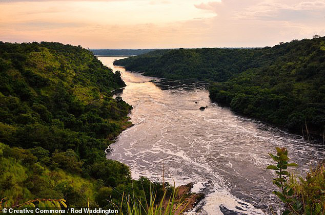Sông Nile chảy qua lãnh thổ Uganda - ảnh: ROD WADDINGTON Sông Nile chảy qua lãnh thổ Uganda - ảnh: ROD WADDINGTON