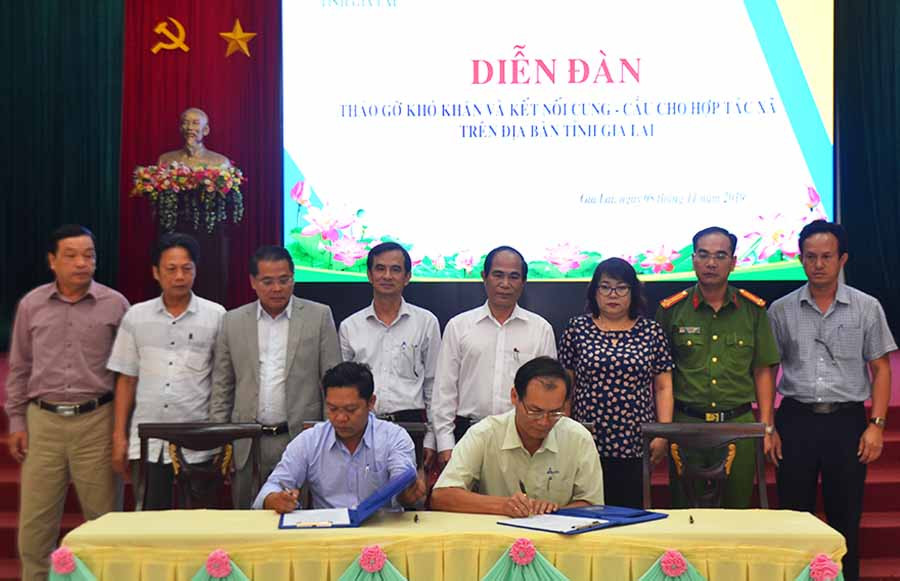  Đại diện doanh nghiệp và hợp tác xã ký kết biên bản ghi nhớ hợp tác. Ảnh: L.N