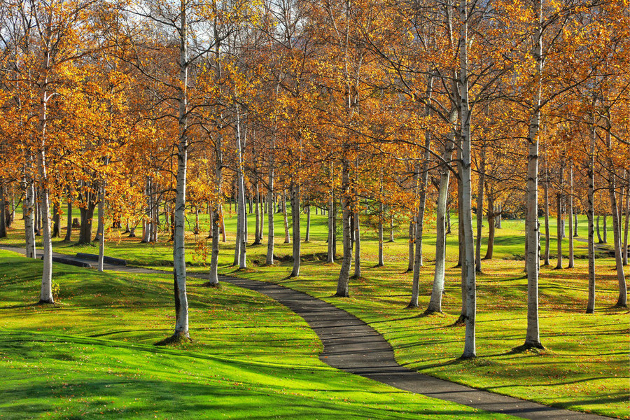  Cảnh sắc mùa thu lộng lẫy và quyến rũ của Hokkaido - Ảnh: NGÔ TRẦN HẢI AN