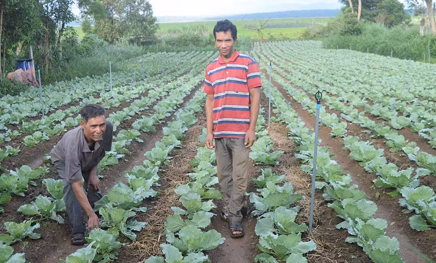  Anh Hưn (bìa phải) hướng dẫn lắp hệ thống tưới nước nhỏ giọt cho ông Ơl. Ảnh: Đ.Y