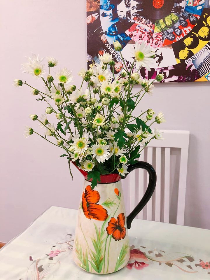 Mùa cúc họa mi đã về, còn chần chừ gì mà không trang trí nhà với loài hoa đẹp tinh khôi và đầy lãng mạn này nhỉ? Mùa cúc họa mi đã về, còn chần chừ gì mà không trang trí nhà với loài hoa đẹp tinh khôi và đầy lãng mạn này nhỉ?