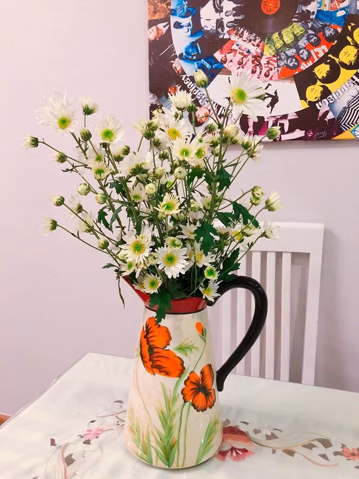 Mùa cúc họa mi đã về, còn chần chừ gì mà không trang trí nhà với loài hoa đẹp tinh khôi và đầy lãng mạn này nhỉ?