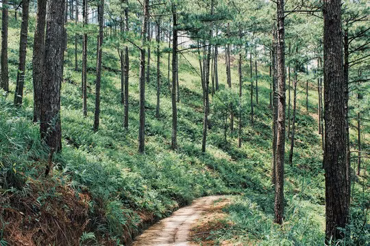 Đường vào quán Đương