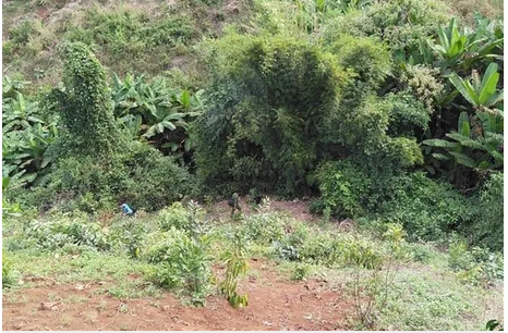  Công an đang khám nghiệm hiện trường vụ án giết người