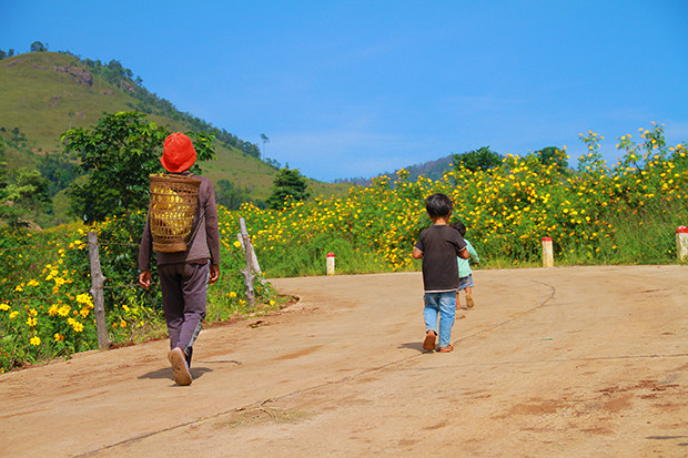 Những em nhỏ tung tăng theo mẹ ra đồng, đi qua những con đường đầy hoa dã quỳ. Ảnh: Văn Hà Những em nhỏ tung tăng theo mẹ ra đồng, đi qua những con đường đầy hoa dã quỳ. Ảnh: Văn Hà