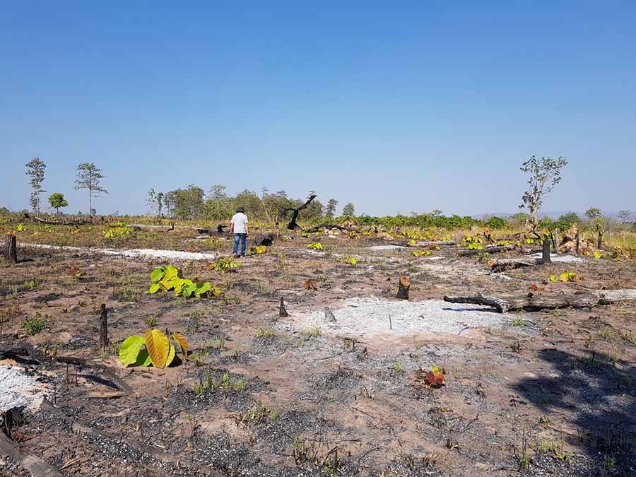 Hiện trường 1 vụ phá rừng làm nương rẫy tại xã Ia Mơr. Ảnh: V.N Hiện trường 1 vụ phá rừng làm nương rẫy tại xã Ia Mơr. Ảnh: V.N