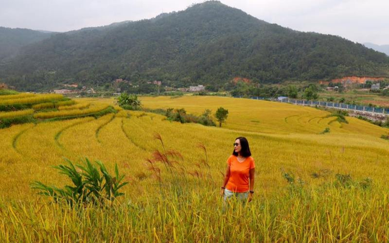 Trên đường biên thuộc xã Hoàng Mô