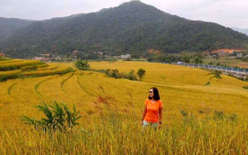 Trên đường biên thuộc xã Hoàng Mô