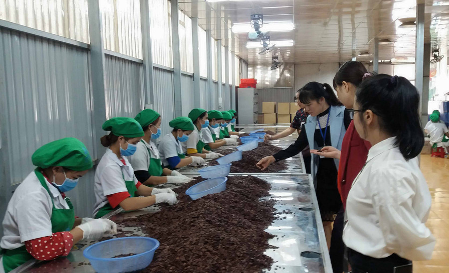 Đoàn kiểm tra liên ngành về ATVSTP TP.Pleiku kiểm tra tại cơ sở sản xuất hạt dưa, hạt bí, hạt hướng dương Thái Sơn. Ảnh: Như Nguyện Đoàn kiểm tra liên ngành về ATVSTP TP.Pleiku kiểm tra tại cơ sở sản xuất hạt dưa, hạt bí, hạt hướng dương Thái Sơn. Ảnh: Như Nguyện