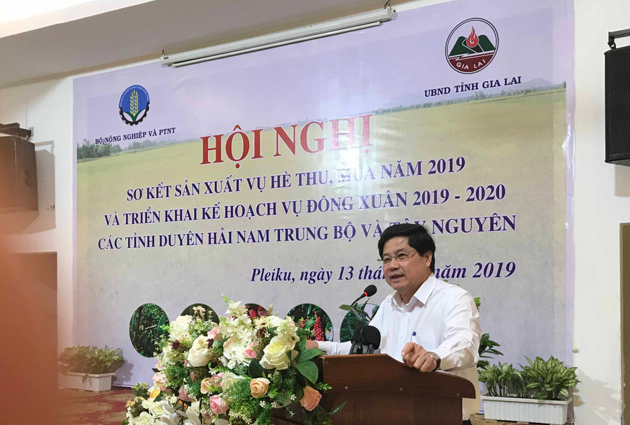 Thứ trưởng Lê Quốc Doanh phát biểu kết luận Hội nghị. Ảnh: Nguyễn Diệp