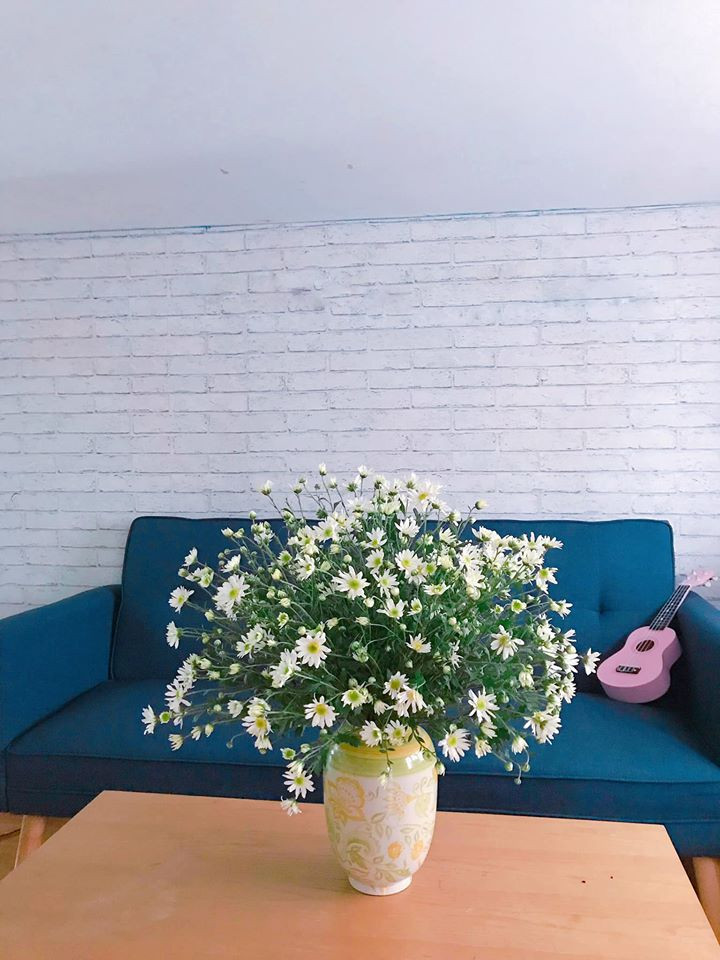 Với phòng khách, nếu muốn trưng bày một lọ cúc họa mi đẹp ở không gian này, bạn hãy chọn những chiếc bình to miệng rộng. Với phòng khách, nếu muốn trưng bày một lọ cúc họa mi đẹp ở không gian này, bạn hãy chọn những chiếc bình to miệng rộng.