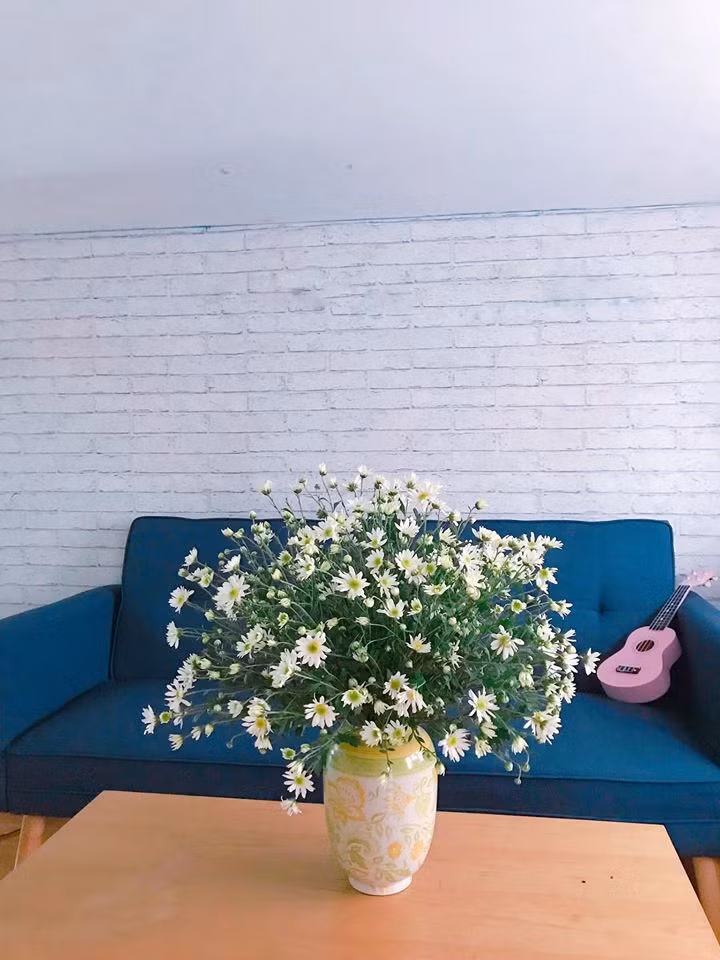  Với phòng khách, nếu muốn trưng bày một lọ cúc họa mi đẹp ở không gian này, bạn hãy chọn những chiếc bình to miệng rộng.