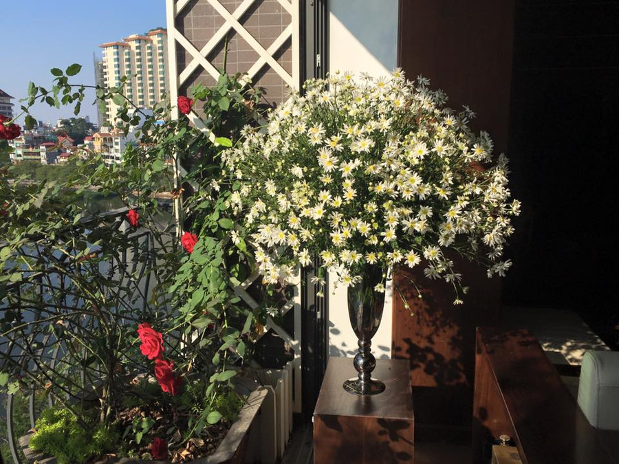 Góc ban công cũng sẽ trở nên rực rỡ và đáng yêu hơn khi có sự hiện diện của những bông hoa họa mi được cắm theo hình vòm. Góc ban công cũng sẽ trở nên rực rỡ và đáng yêu hơn khi có sự hiện diện của những bông hoa họa mi được cắm theo hình vòm.