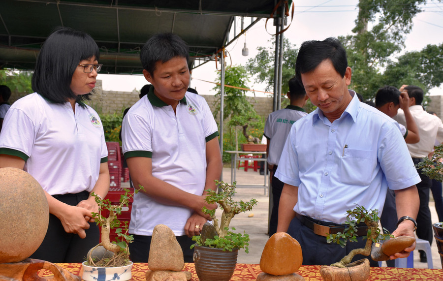 Bí thư Tỉnh ủy Dương Văn Trang cùng lãnh đạo thị xã An Khê tham quan cây cảnh của nông hội. Ảnh: Trần Dung