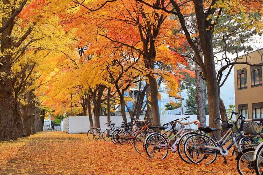 Bây giờ là lúc thu sắp giao đông ở Hokkaido, thế nên trời khá lạnh - Ảnh: NGÔ TRẦN HẢI AN