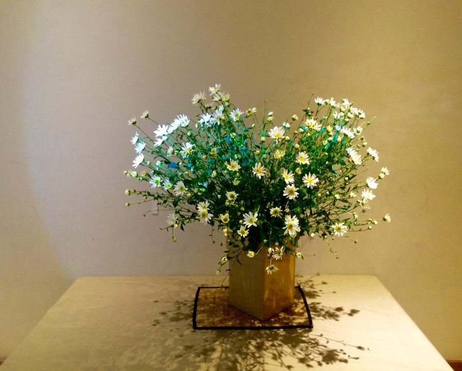 Cúc họa mi đẹp đơn giản, thanh thoát, cắm bình to cũng đẹp, bình nhỏ cũng xinh, để phòng khách thêm trang nhã, mang vào bếp lại ấm cúng tuyệt vời. Cúc họa mi đẹp đơn giản, thanh thoát, cắm bình to cũng đẹp, bình nhỏ cũng xinh, để phòng khách thêm trang nhã, mang vào bếp lại ấm cúng tuyệt vời.