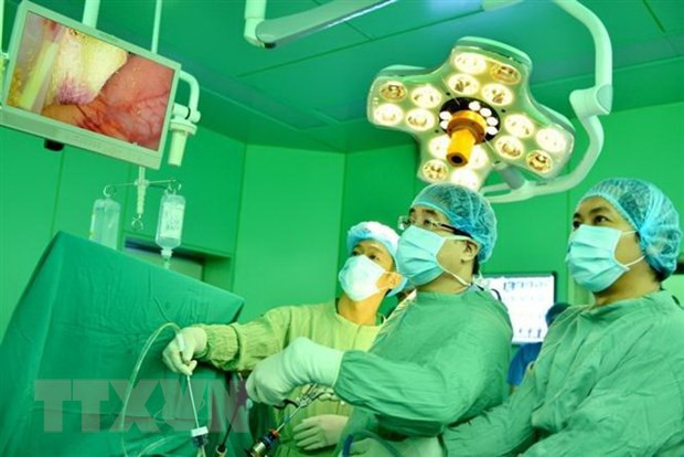 Trình diễn kỹ thuật cắt gan nội soi tại Hội nghị. (Ảnh: Đinh Hằng/TTXVN) Trình diễn kỹ thuật cắt gan nội soi tại Hội nghị. (Ảnh: Đinh Hằng/TTXVN)