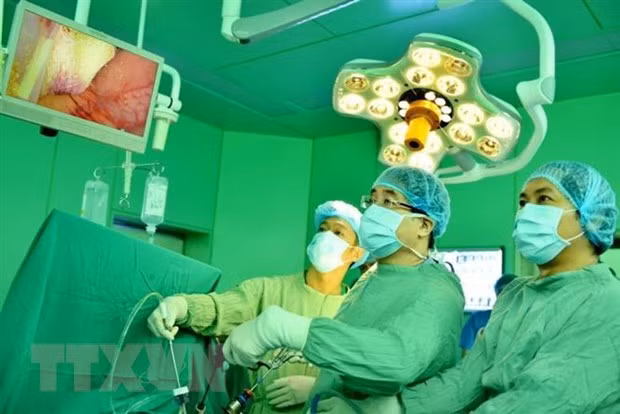 Trình diễn kỹ thuật cắt gan nội soi tại Hội nghị. (Ảnh: Đinh Hằng/TTXVN)