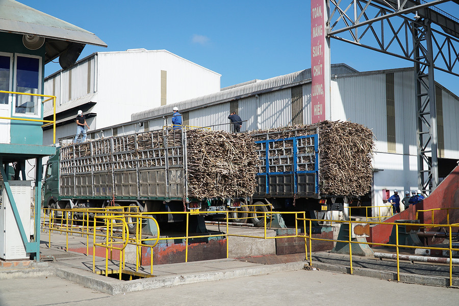 Dự kiến đầu tháng 12-2022, Nhà máy Đường An Khê bước vào niên vụ ép 2022-2023 với giá thu mua mía 1.050.000 đồng/tấn 10 chữ đường. Ảnh: Ngọc Minh Dự kiến đầu tháng 12-2022, Nhà máy Đường An Khê bước vào niên vụ ép 2022-2023 với giá thu mua mía 1.050.000 đồng_tấn 10 chữ đường. Ảnh: Ngọc Minh