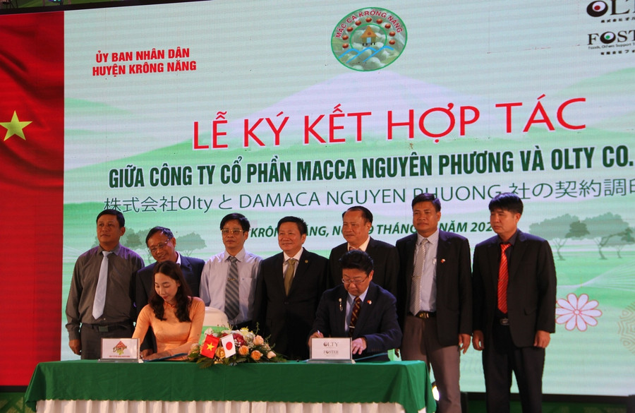 Công ty Damaca Nguyên Phương và Công ty Olty ký kết hợp tác xuất khẩu mắc ca HOÀNG BÌNH