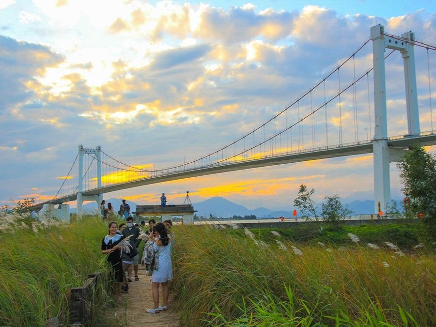 Các bạn trẻ tranh thủ check-in hoa cỏ lau trắng dưới chân cầu Thuận Phước vào những ngày cuối thu. Ảnh: Hữu Tú