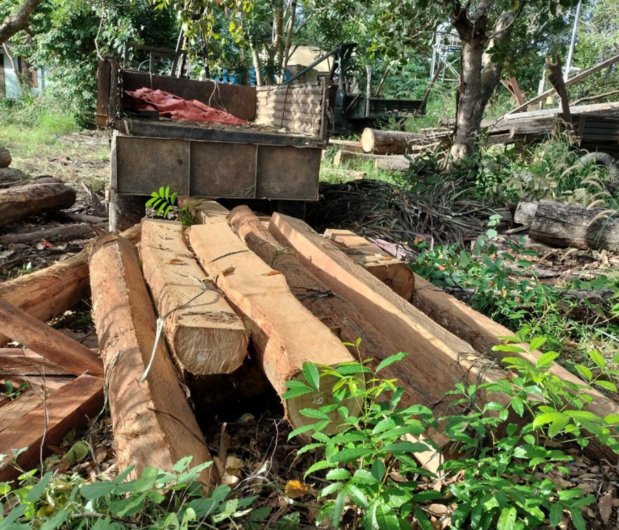 Gỗ và phương tiện vận chuyển bị thu giữ tại cơ quan chức năng. Ảnh: Công an huyện Ia Pa cung cấp Gỗ và phương tiện vận chuyển bị thu giữ tại cơ quan chức năng. Ảnh: Công an huyện Ia Pa cung cấp