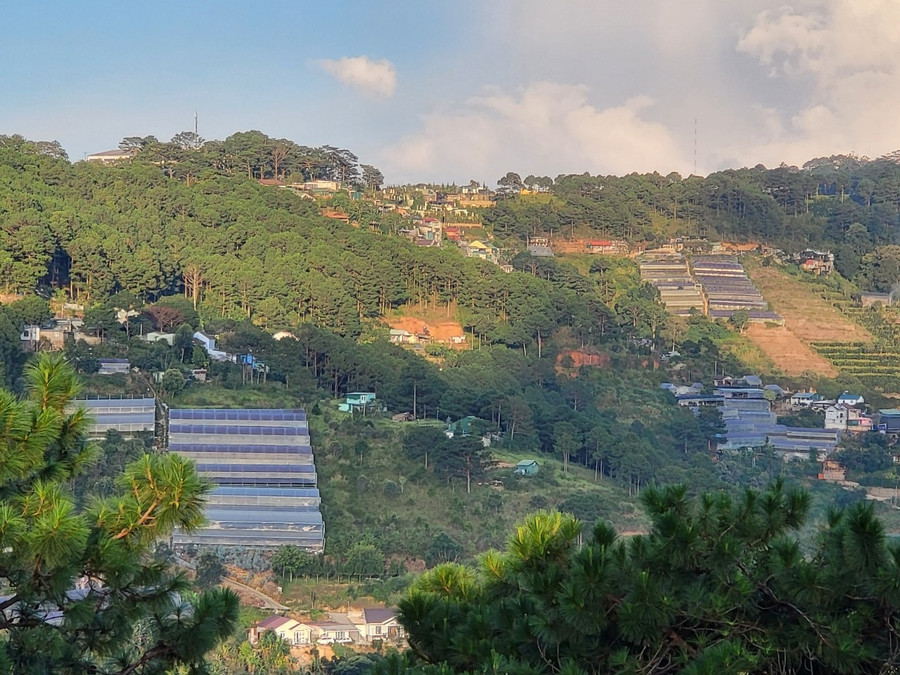 Lần rà soát điều chỉnh này, Lâm Đồng được đưa ra khỏi quy hoạch 3 loại rừng hơn 58.916 ha. Ảnh: Gia Bình